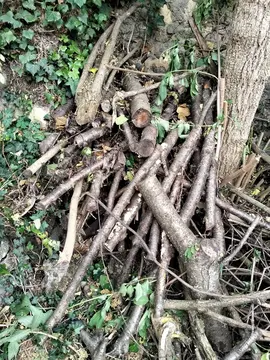 bois de chauffage sec