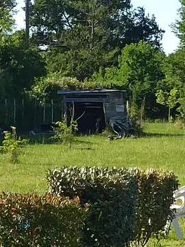 bois pour cabanon