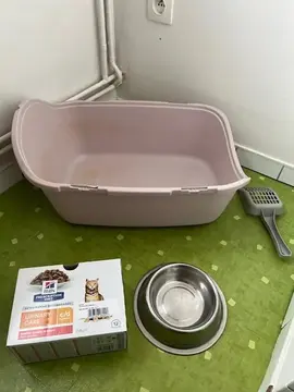 Lot accessoires chat urinary care
