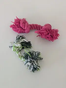 jouets pour chien
