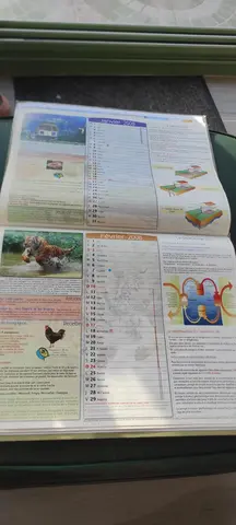calendrier 2008