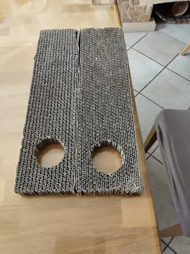 griffoire a chat