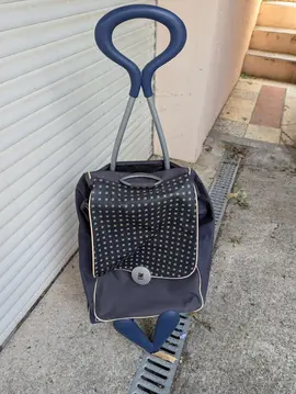 sac de courses à roulettes