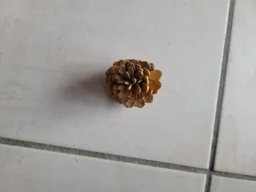 pomme de pin dorée