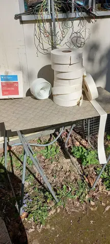 calico