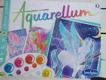 Sorte de peinture au numéro