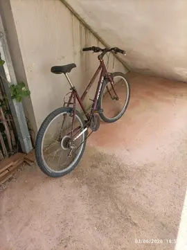 vtt