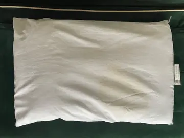 2 oreillers à donner avec taches (45x70 et 60x60)