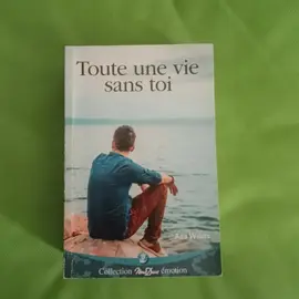 roman en lot ou a l unité