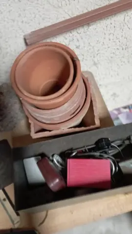 quelques pots de fleurs en terre