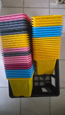 petit pot de semis ( plastique)