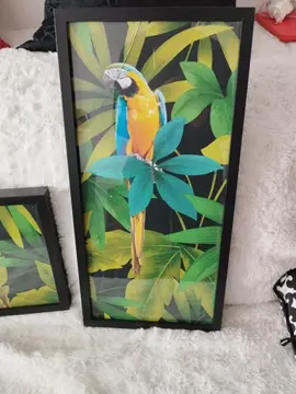 2 tableaux encadrement bois. Protégés par du verre ( un fêlé en coin voir photo perroquet)