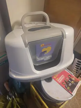 litière d'angle chat