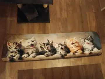 tapis chat