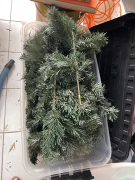 sapin noel