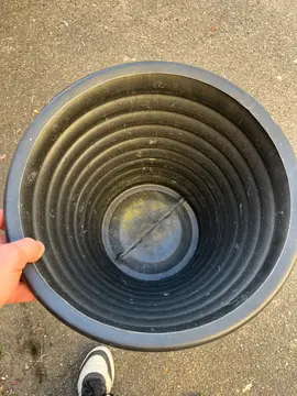 pot