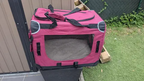 caisse transport animaux pliante