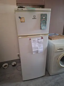 frigo
