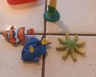 Décoration aquarium