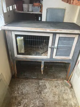 clapier pour animal compagnie