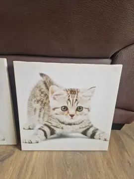 tableaux animaux
