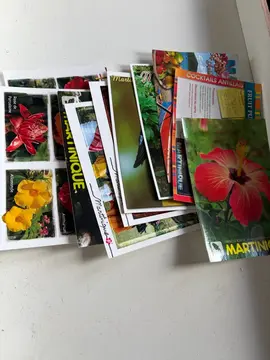cartes postale