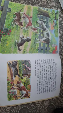 Livre d'histoire poir enfant
