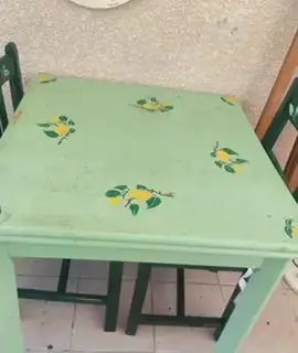 table + 2 chaises