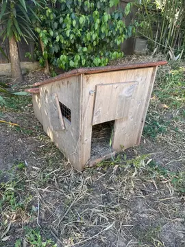 nichoir poules