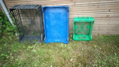 Cagettes/Caisses