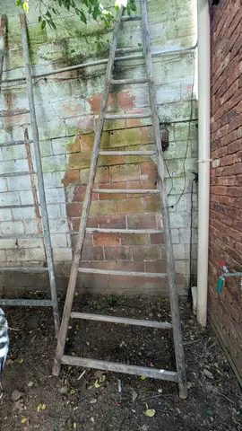 2 échelles anciennes de peinture (pour déco ou tuteur de grimpante)