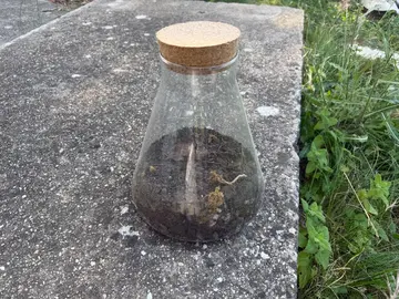 Terrarium