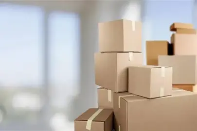 cartons de déménagement