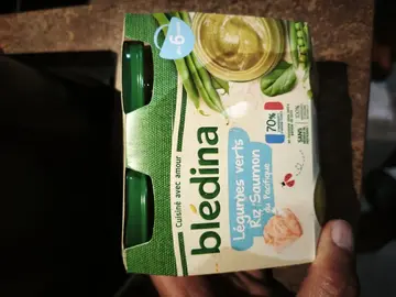 légumes verts riz saumon