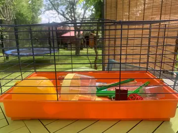 cage à hamster
