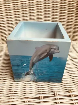 porte crayons motifs dauphins