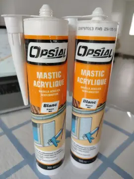 Mastic acrylique