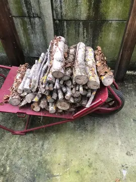 bois pour poêle et cheminée