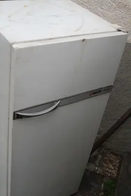 frigo
