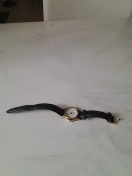 Montre pile à changer.
