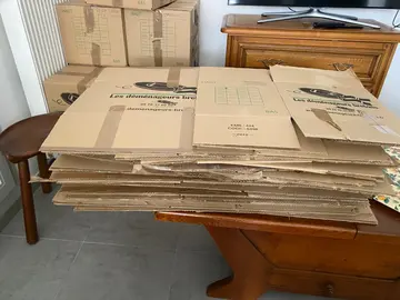 carton demenagement
