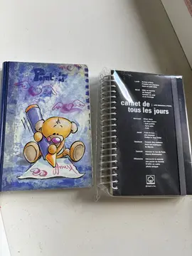 Lot de 2 carnets