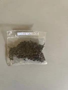 poivre sauvage