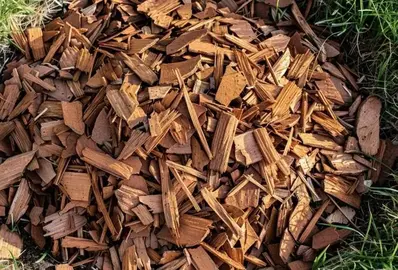 copeau de bois