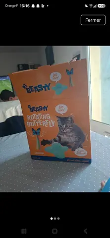 jouet chat