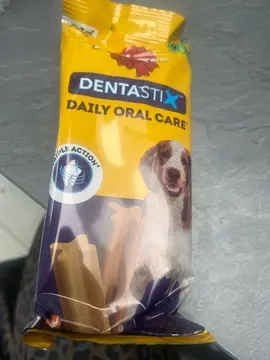 snacks chien