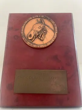 trophée cheval cuivre