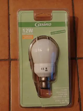RÉSERVÉ - Ampoule 12 W - 600 lumen (équivalence 60 W)