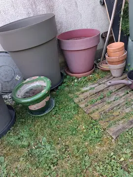 pots de fleur