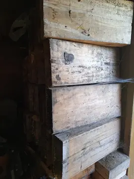 bois en chêne